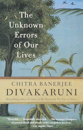 The Unknown Errors of Our Lives book cover