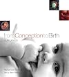 From conception to birth: a life unfolds