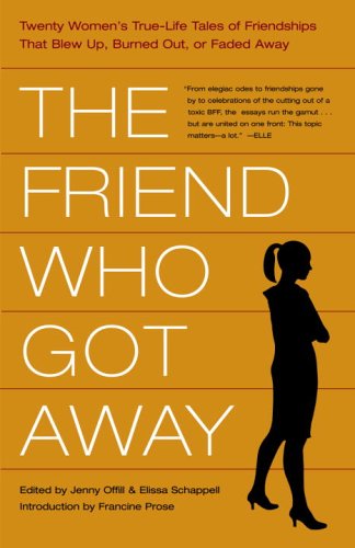 The Friend Who Got Away cover