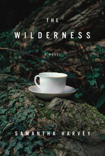 The Wilderness book cover