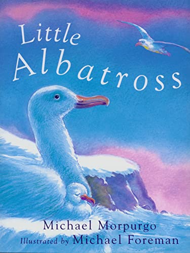 Little Albatross book cover