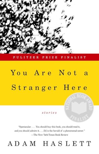 You Are Not a Stranger Here book cover