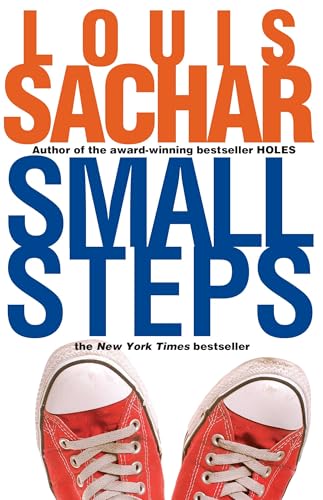 Small Steps book cover