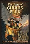 The Story of Cirrus Flux