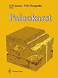 Paleokarst