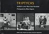 Triptychs: Buffalo's Lower West Side Revisited