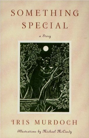 Something Special book cover