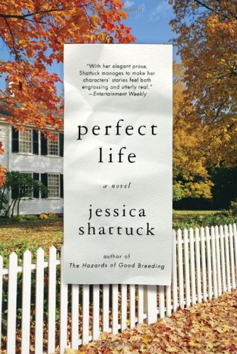 Perfect Life book cover