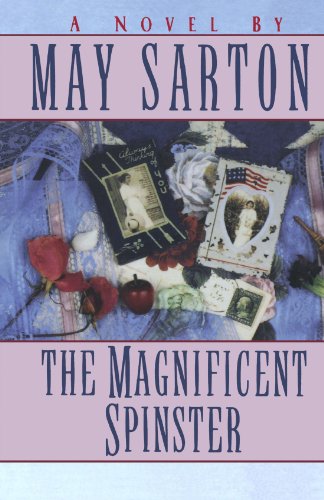 The Magnificent Spinster book cover