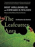 The Leafcutter Ants Civilization By Instinct