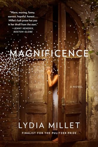 Magnificence book cover