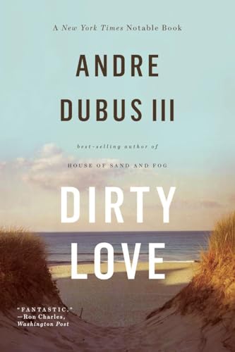 Dirty Love book cover