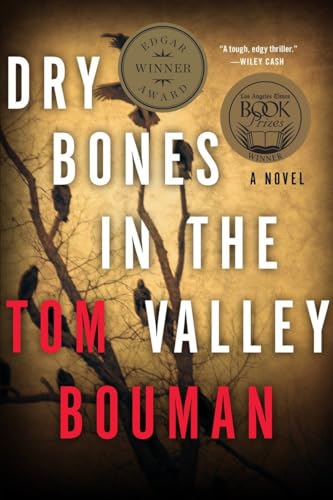 Dry Bones in the Valley book cover