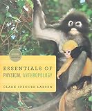 Essentials Of Physical Anthropology Discovering Our Origins