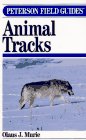 A Field Guide to Animal Tracks
