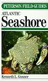 Atlantic Seashore (Peterson Field Guides)