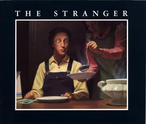 The Stranger book cover