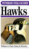 A Field Guide to Hawks of North America (Peterson Field Guides)