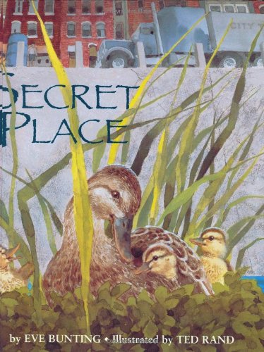 Secret Place (Short Story) book cover