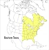 A Field Guide to Eastern Trees (Peterson Field Guides)