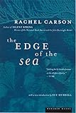 The Edge Of The Sea
