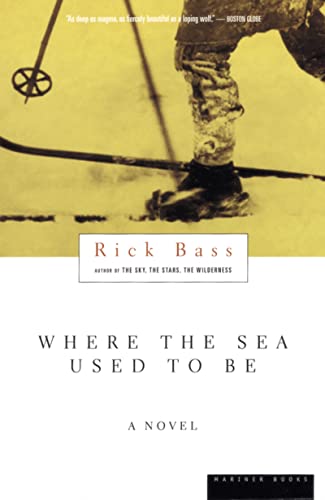 Where the Sea Used to Be book cover