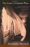 The Court of Common Pleas: A Novel