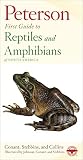 Reptiles and Amphibians (Peterson First Guides)
