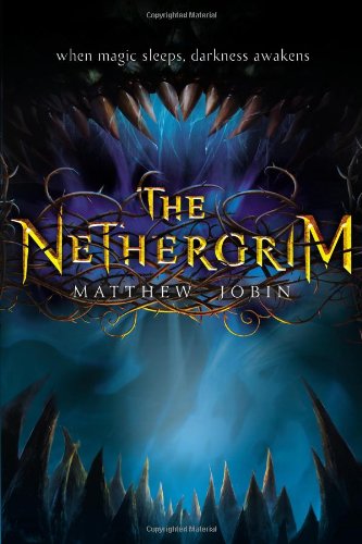 The Nethergrim book cover