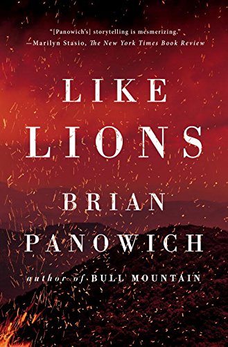 Like Lions book cover
