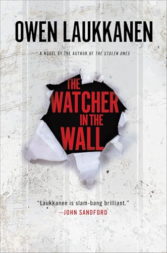 The Watcher in the Wall cover