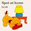Spot at Home