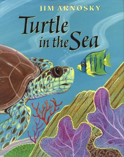 Cover of Turtle in the sea