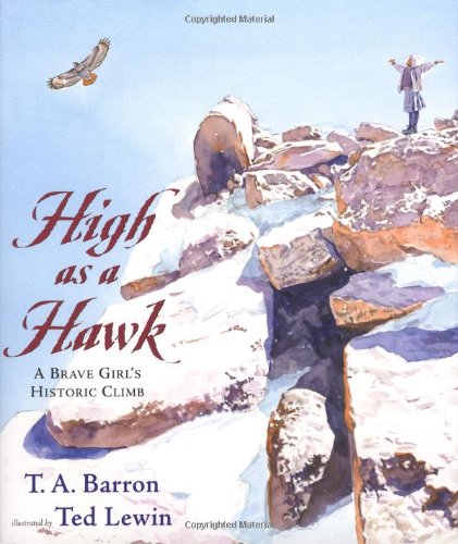 High as a Hawk book cover