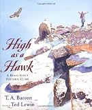 High as a Hawk