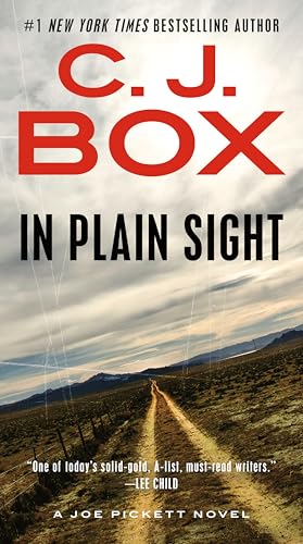 In Plain Sight book cover