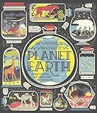 The Wondrous Workings Of Planet Earth Understanding Our World And Its Ecosystems
