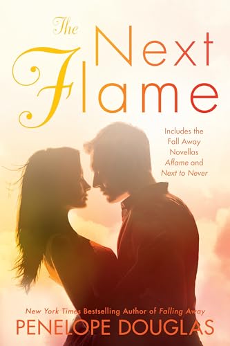 The Next Flame book cover