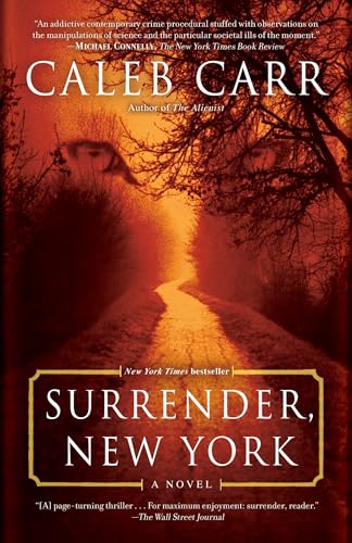 Surrender, New York book cover