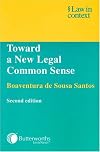 Toward a New Common Sense: Law, Science and Politics in the Paradigmatic Transition (After the Law)