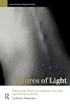 Textures of Light: Vision and Touch in Irigaray, Levinas and Merleau Ponty (Warwick Studies in European Philosophy)
