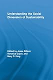 Understanding The Social Dimension Of Sustainability Routledge Studies In Development And Society