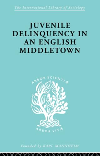 Cover of Juvenile Delinquency in an English Middle Town
