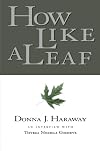 How Like a Leaf: An Interview with Thyrza Nichols Goodeve
