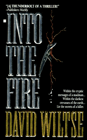 Into the Fire book cover