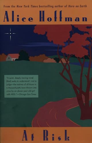 At Risk book cover