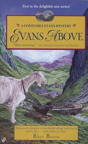 Evans Above book cover