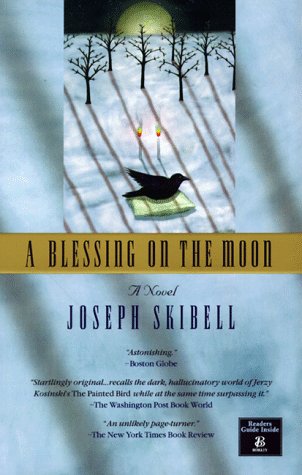 A Blessing on the Moon book cover