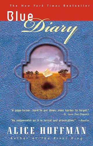 Blue Diary book cover