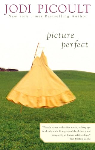 Picture Perfect book cover